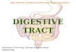Digestiv tube.english histology
