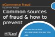 Managing Payment and Fraud - Ecommerce Masterclass
