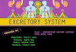 Comparative Anatomy - Excretory System