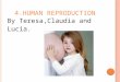 Unit 4 human reproduction claudia lucia and teresa s
