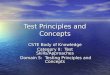 Testing Principles and Concepts - Overview