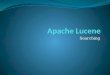 Apache lucene