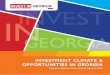 Investment Climate & Opportunities in Georgia