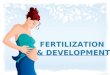 FINAL Rb3  Bio- Fertilization and Development