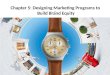 Chapter 5 (designing marketing programsto build brand equity)