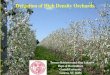Ppt fruit-apple-water-management-robinson-cornell-2014-eng