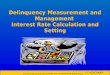 CGAP Training Delinquency Management and Interest Rate Setting Slides