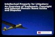 IP Litigation Overview Presentation