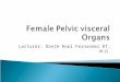 Female Pelvic Visceral Organs