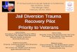 Jail Diversion Trauma Recovery Pilot - Veteran Specific
