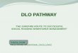 Dlo Pathway