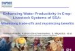 Enhancing Water Productivity in Crop-Livestock Systems of SSA:  Minimizing trade-offs and maximizing benefits