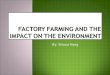Factory Farming And The Impact On The Environment