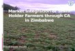 Market integration of small holder farmers through CA in Zimbabwe michael jenrich