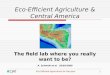 Eco-Efficient Agriculture & Central America