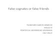 False cognates or false friends