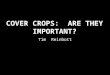 An Overview of Cover Crops