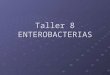 Enterobacterias (2)