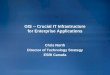 GIS -- Crucial IT Infrastructure