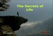 Secrets Of  Life (In  English)