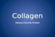 Ap Bio Collagen (Masiello)
