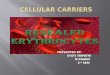 Cellular carriers ppt