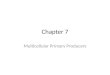 Chapter 7 multicellular plants