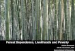 Forest Dependence, Livelihoods and Poverty - Class Assigment