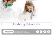 Manage Your Lab's Seeds, Plants and Crosses with Labguru's Botany Module