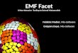 EMF Facet EclipseCon 2011 Audition