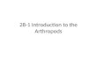 Biology 28 1 introduction to the arthropods