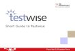 Short guide testwise