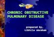 Copd(chronic obstructive pulmonary disease)