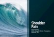 Shoulder pain may 2014 ppt