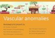 Topic vascular anomalies