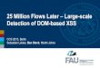 25 Million Flows Later – Large-scale Detection of DOM-based XSS
