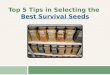 Top 5 Tips in Selecting the Best Survival Seeds