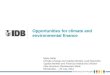 Taller Alide-Bid-Brou (Sesión4.a): Opportunities for climate and environmental finance, Maria Netto, Bid