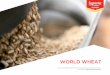 Supreme Flour World Wheat Presentation (December 2013)