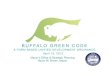 Buffalo Green Code April 10 Presentation