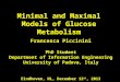 Minimal and maximal models of glucose metabolism
