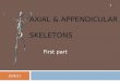 Axial & appendicular