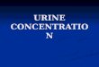 Urine concentration overview by Dr. Riffat