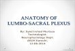 Anatomy of lumbosacral plexus (by Murtaza Syed)