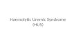 Haemolytic Uremic Syndrome