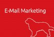 Wild Dog Design - E-Mail Marketing