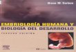 Embriologia humana carlson_