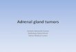 Adrenal gland tumors (Radiology)