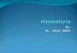 Haematuria -  Final Year Lecture