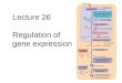 biochemistry Regulation of gene expression